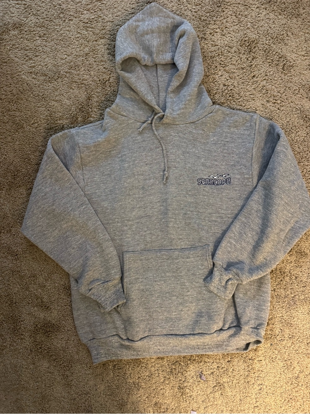 Vintage 1980s Russell Athletic Gray Hooded Sweatshirt with Small Chest Logo